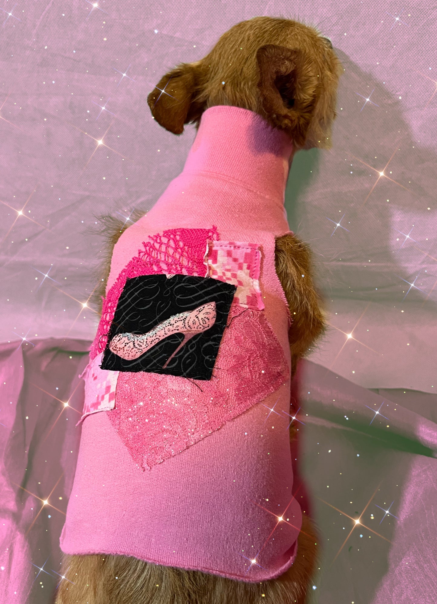 “Pinkie Pooch” Patched Turtleneck