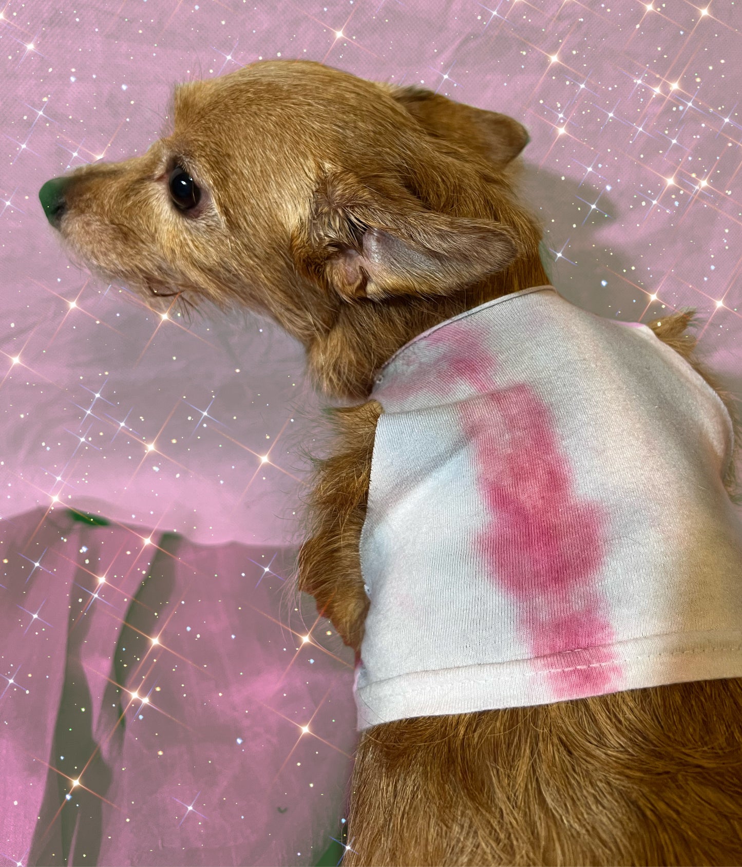 “Pinkie Pooch” Tie Dye Tank