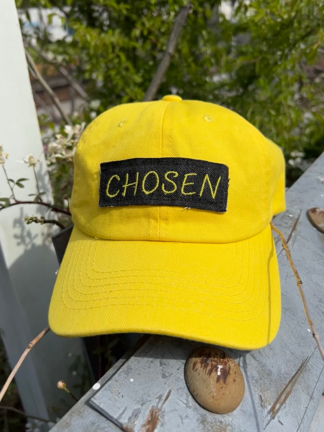 Shine “Chosen” Hat