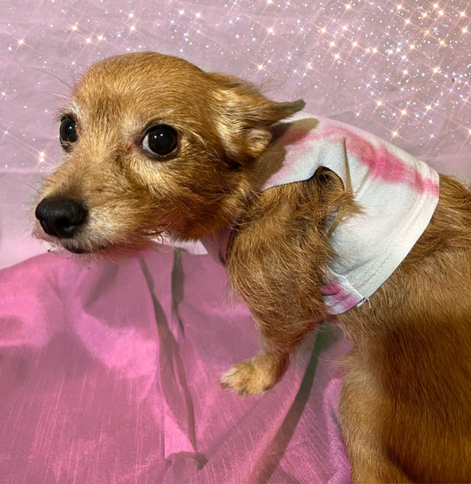 “Pinkie Pooch” Tie Dye Tank